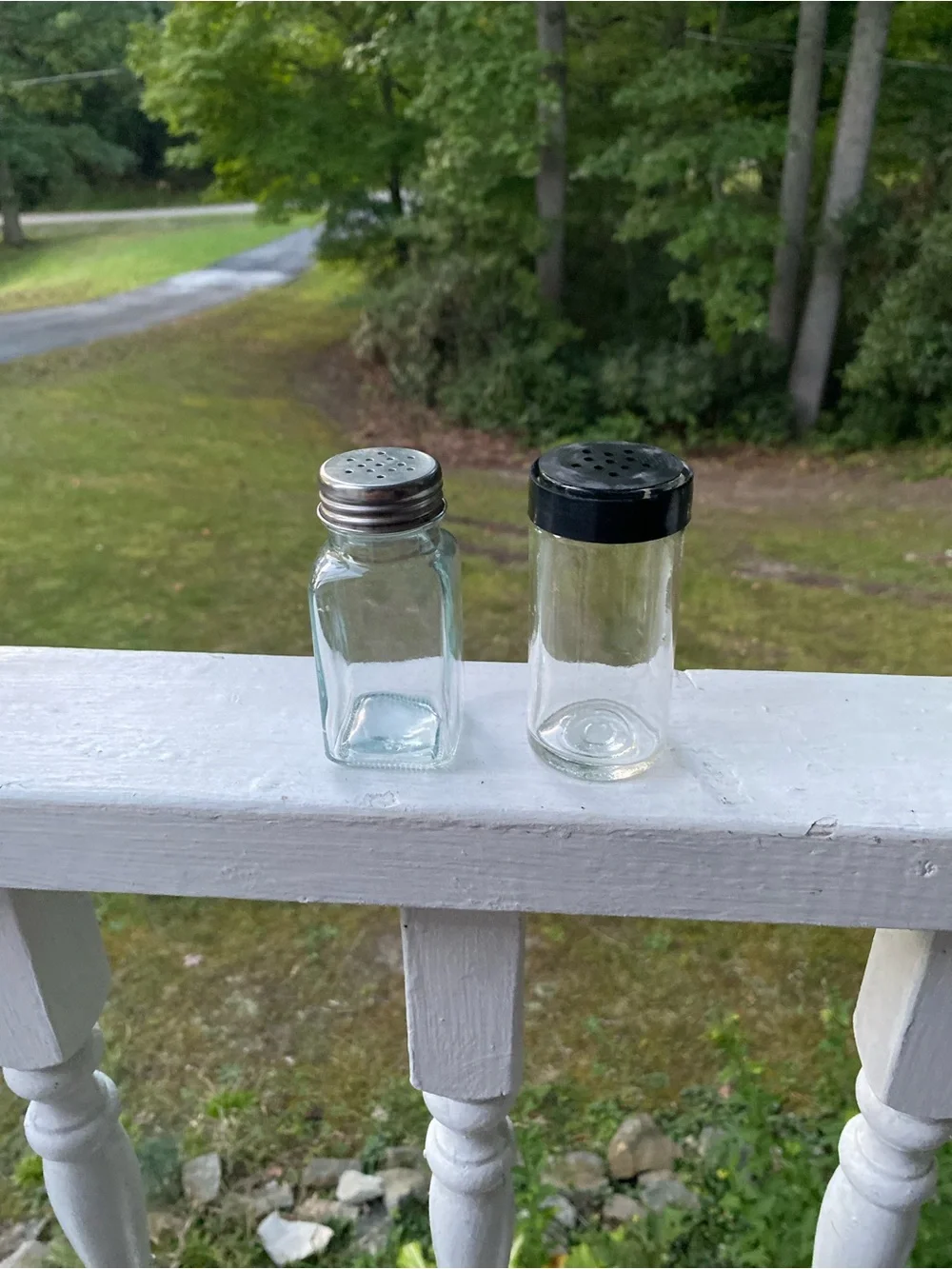 Glass Clear Salt & Pepper Shaker Set (2)